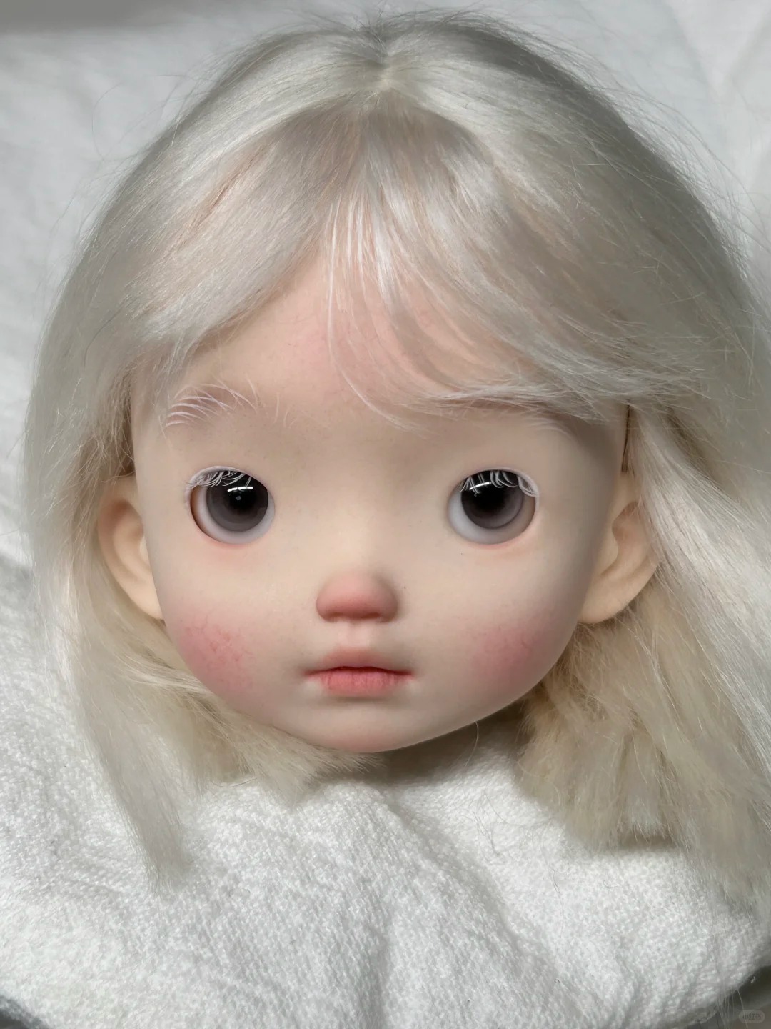 1/6 Scale SD BJD Doll Head - L - Beauty No Makeup recensie en prijs